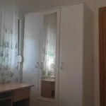 Leonida 3