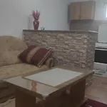 Leonida 3